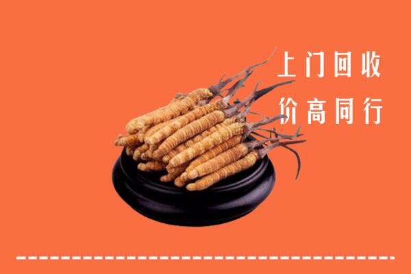 高价求购：谷城回收散虫草