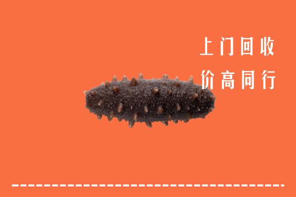 高价求购：谷城回收海参