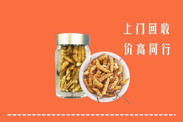谷城回收冬虫夏草